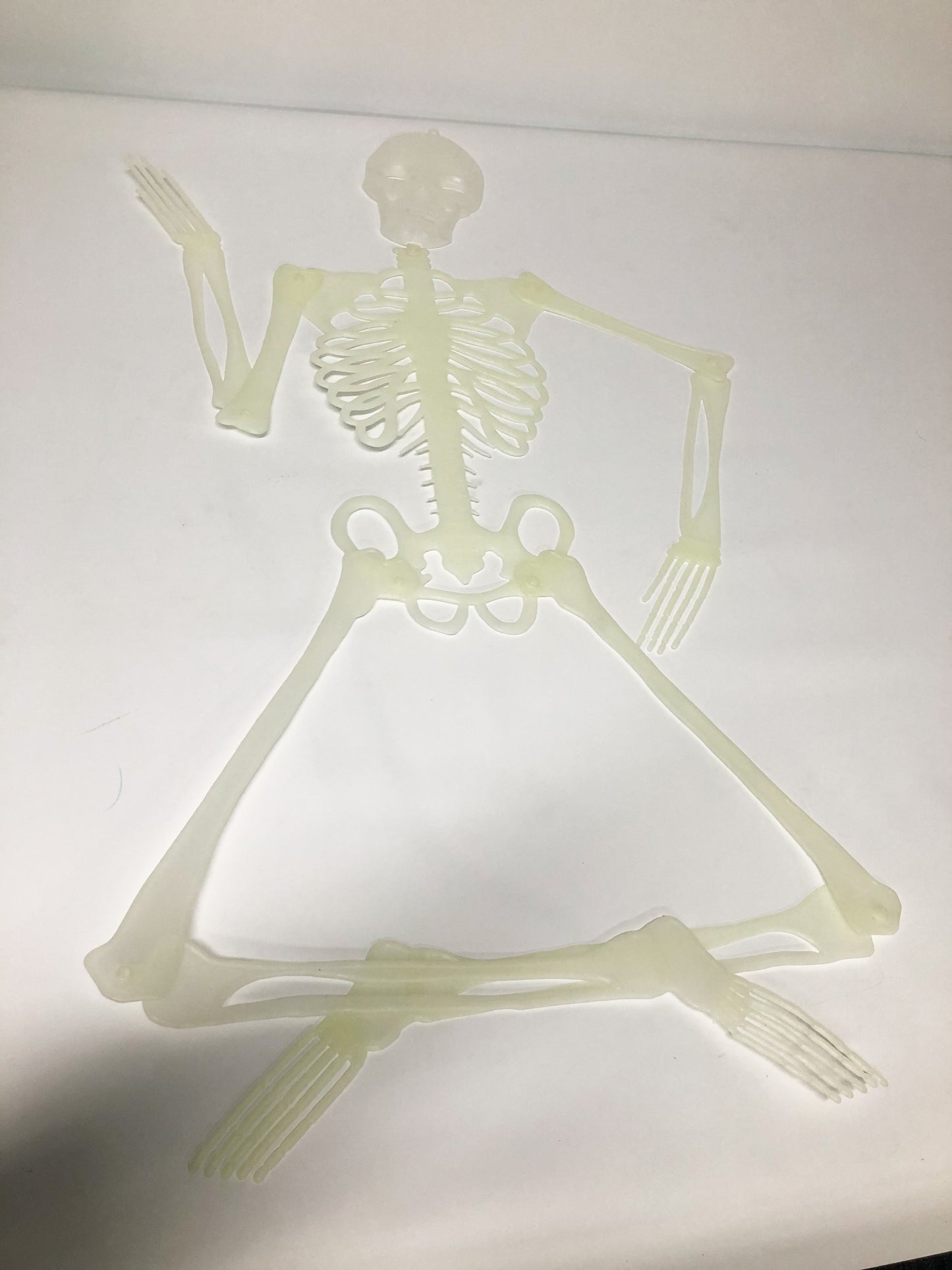 Glow In The Dark Skeleton