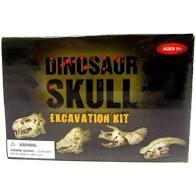 Dinosaur Excavation Kit